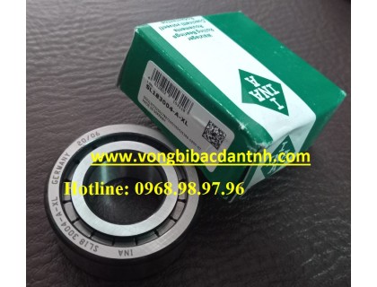 VÒNG BI SL183004-A-XL